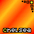 Icon plaatjes Naam icons Chelsea 