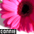 Icon plaatjes Naam icons Connie 