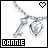 Icon plaatjes Naam icons Dannie 