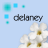 Icon plaatjes Naam icons Delaney 