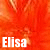 Icon plaatjes Naam icons Elisa 