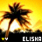 Icon plaatjes Naam icons Elisha 
