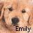 Icon plaatjes Naam icons Emily Naamanimatie Emily Puppie Icon