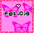 Icon plaatjes Naam icons Felicia 