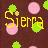 Icon plaatjes Naam icons Sierra 
