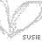 Icon plaatjes Naam icons Susie 