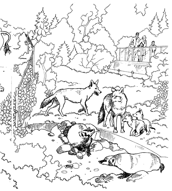 taiga animals coloring pages - photo #41