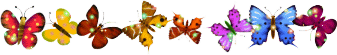 animaatjes-vlinders-51822.gif