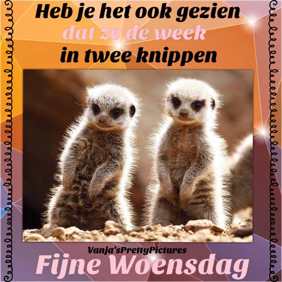 Week Door Midden Facebook Plaatjes » Animaatjes.nl Week Door Midden Facebook Plaatjes » Animaatjes.nl