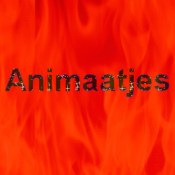 Naamanimaties Animaatjes 
