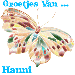 Naamanimaties Hanni 