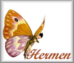 Naamanimaties Hermen 