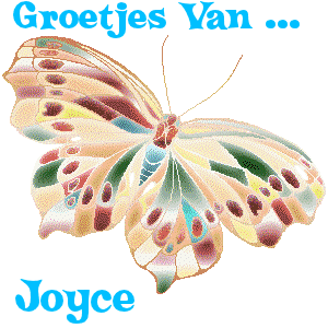 Naamanimaties Joyce 