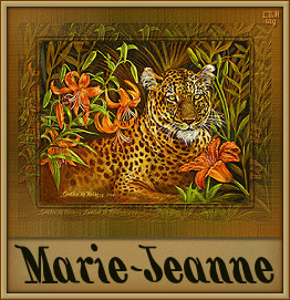 Naamanimaties Marie-jeanne 