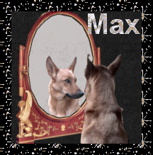 Naamanimaties Max 
