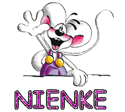 Naamanimaties Nienke 