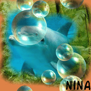 Naamanimaties Nina 