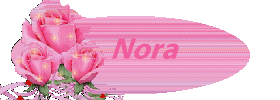 Naamanimaties Nora 