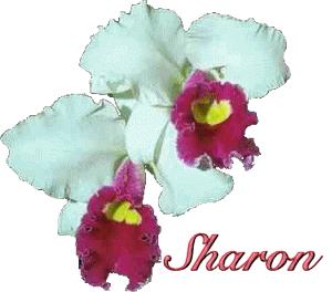 Sharon Naamanimaties Bloemen
