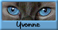 Naamanimaties Yvonne 