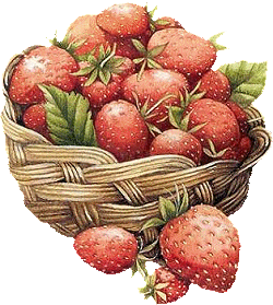 aardbeien in mandje