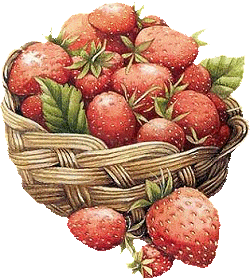 aardbeien in mandje