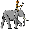 Afrika olifant