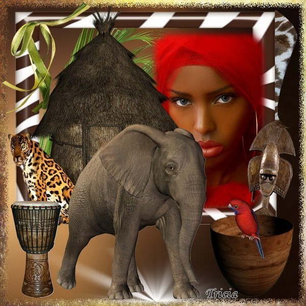 Afrikaanse vrouw met dieren