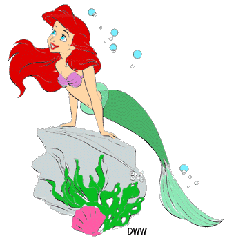 Ariel op rots