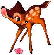 Bambi Plaatjes 