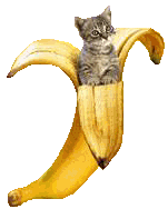 Bananen Plaatjes 