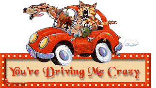 DrivingCrazy-LMG2.gif