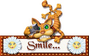 SmileCat-LMG2.gif
