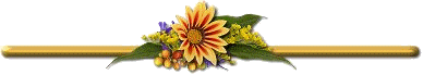 Bloemen plaatjes