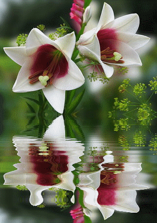 animaatjes-bloemen-0090257.gif