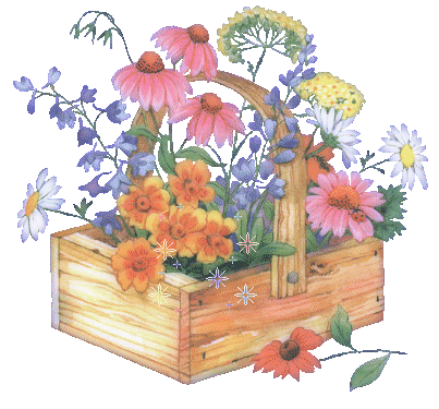 bloemen in kistje