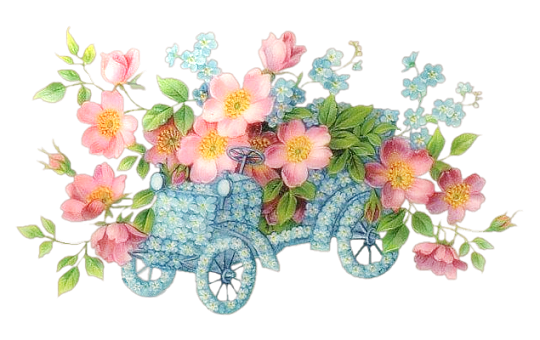 bloemen op oldtimer