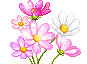 animaatjes-bloemen-34555.gif