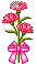 Bloemen plaatjes