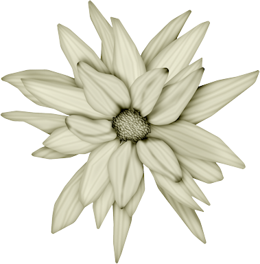 bloemen