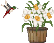 Bloemen