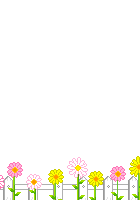 Bloemen plaatjes