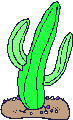 Plaatjes Cactussen Groene Cactus Van Links Naar Rechts Bewegen