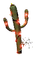 Plaatjes Cactussen Versierde Cactus Met Lichtjes