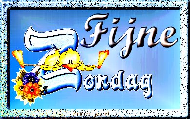 fijnezondag.jpg