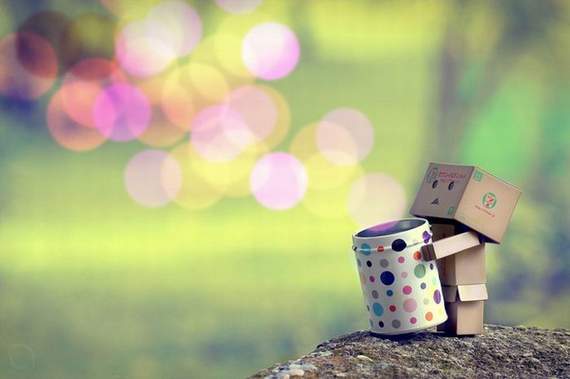 danbo