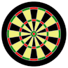 Darts plaatjes