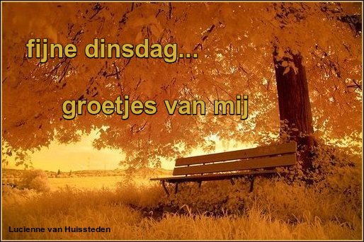 animaatjes-dinsdag-3553998.jpg