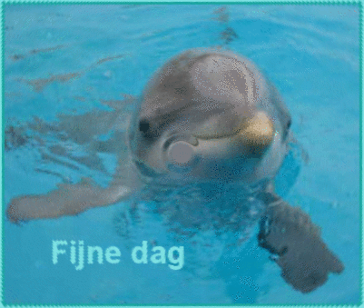 dolfijnen