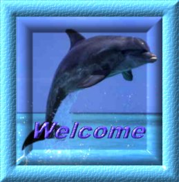 Dolfijnen Plaatjes Welkom Dolfijn